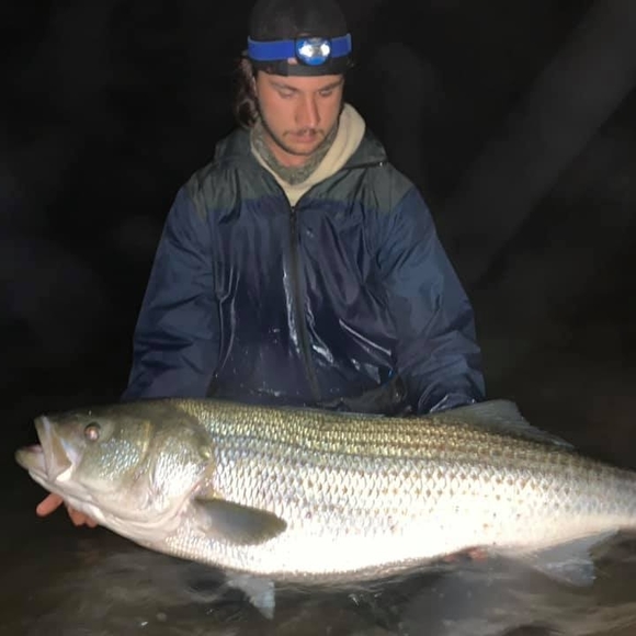 adam_piotrowski